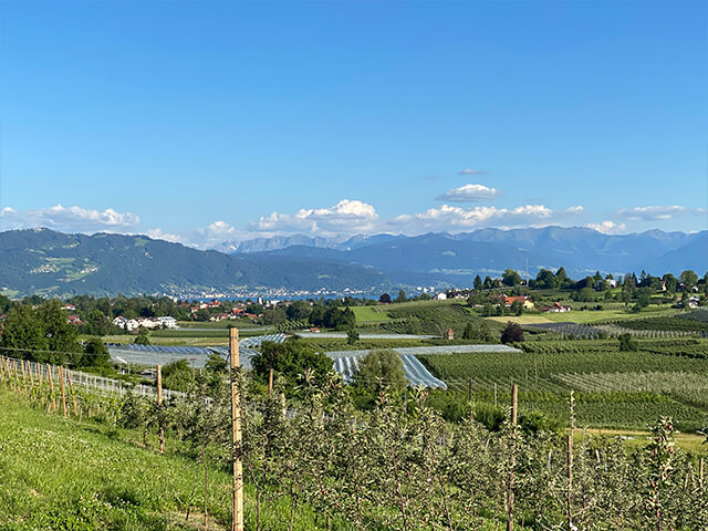 Region Bodensee / Allgäu